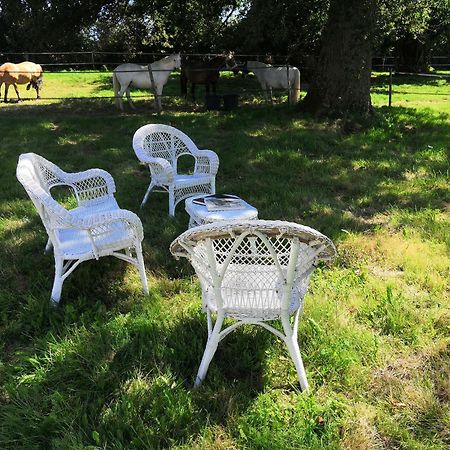 Bed and Breakfast La Marquise Penchee Orsennes Exterior foto
