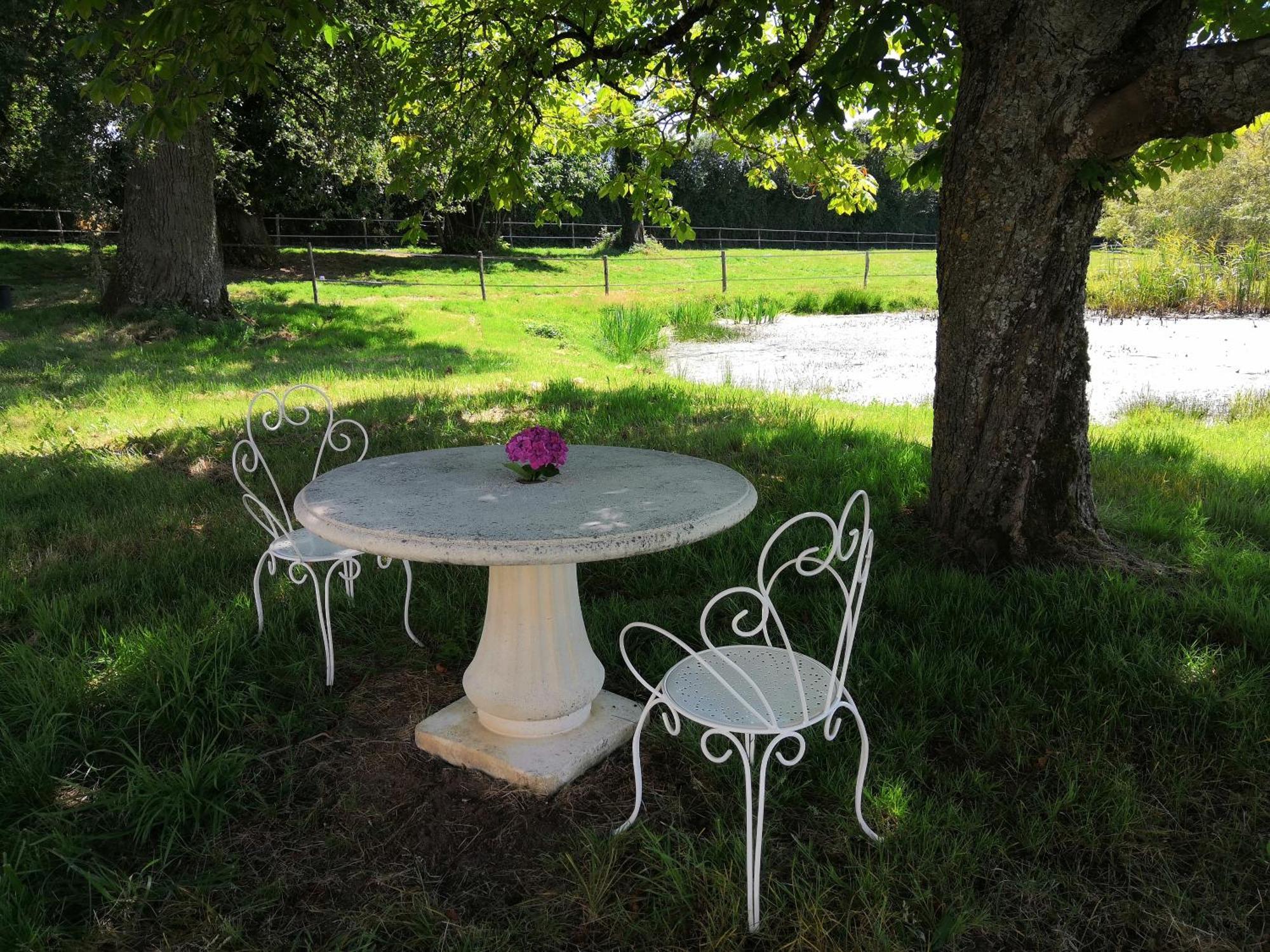 Bed and Breakfast La Marquise Penchee Orsennes Exterior foto